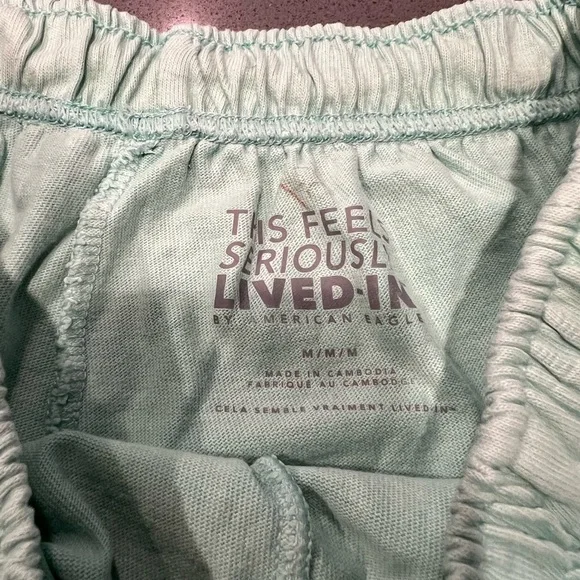 American Eagle Outfitters Light Green Athletic Shorts - Picture 5 of 8